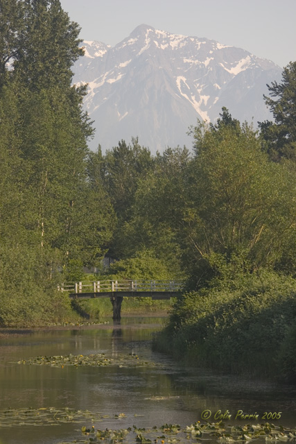 [Image: 050528_CRW_2189.jpg]