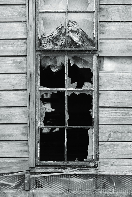 [Image: 1796windowWeb.jpg]