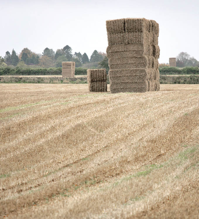 [Image: 2-1haybales-ST.jpg]