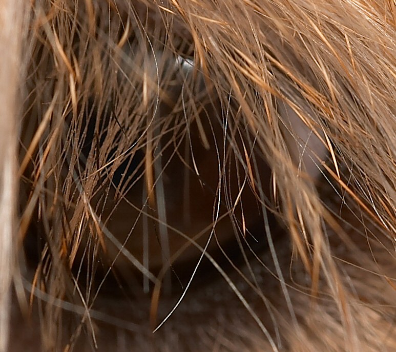 [Image: 228_2844.jpg]