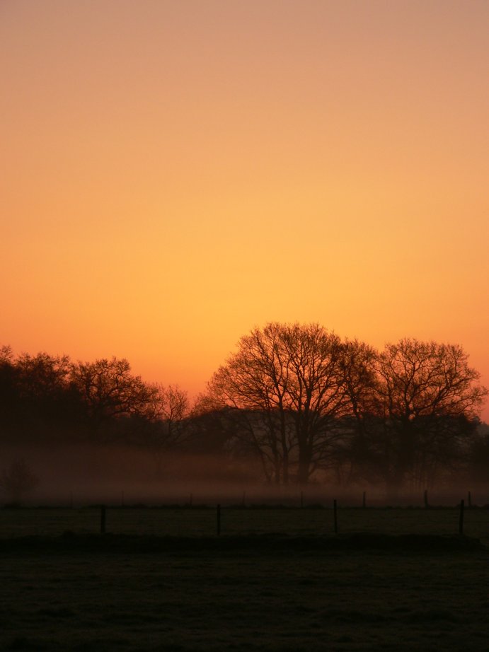 [Image: 22_sunrise.jpg]