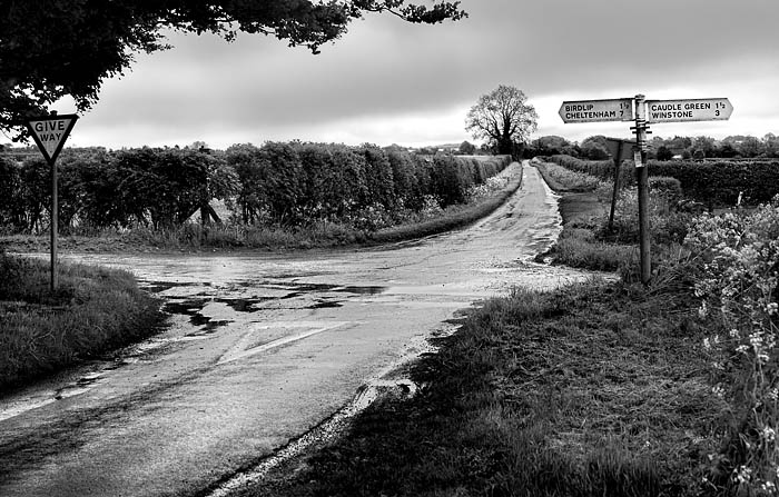 [Image: 2Xroads-pano%20web2.jpg]