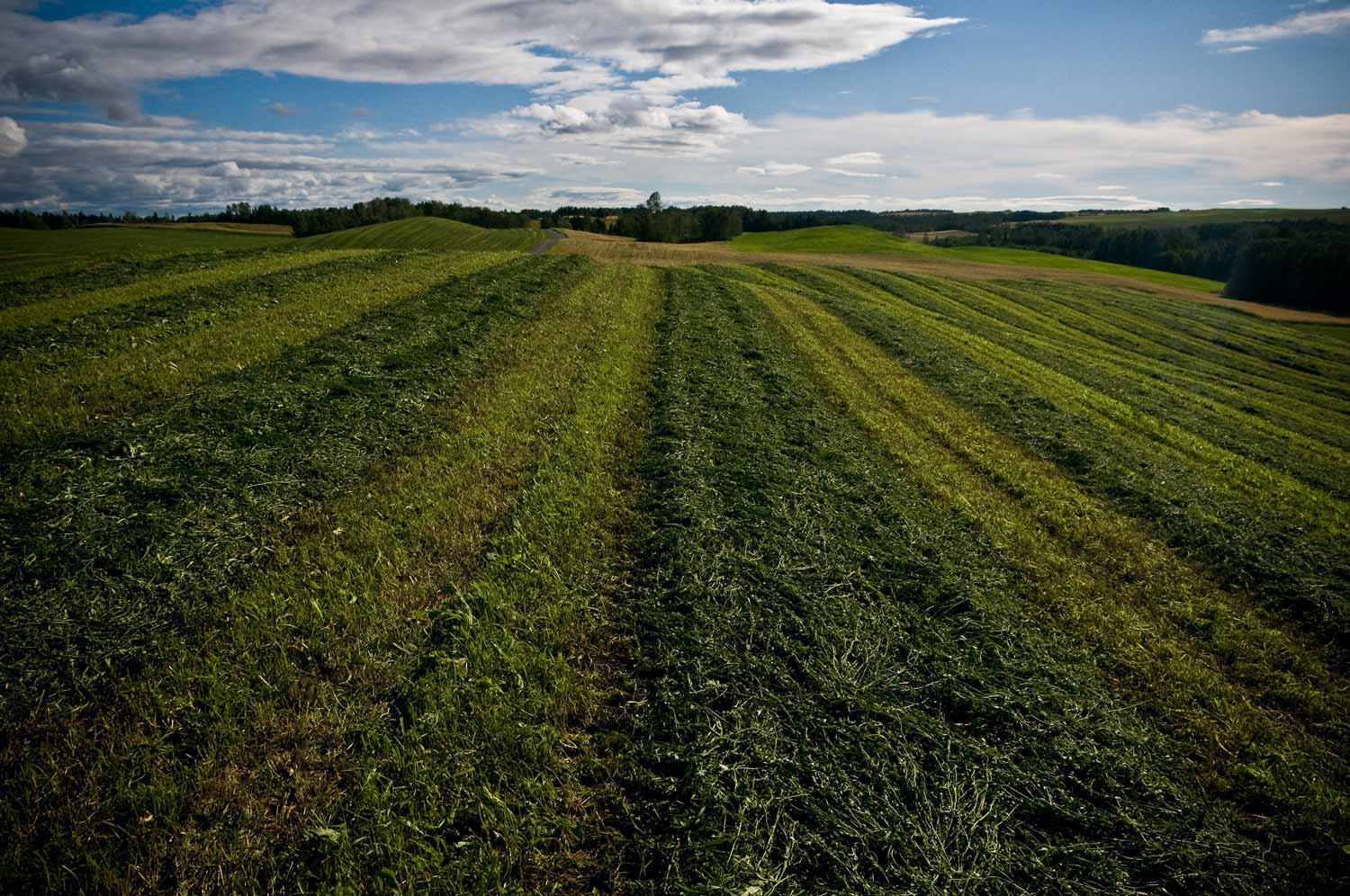 [Image: 36_Gaspesie-Aug-2008-w-Gary-_DSC6526-17-08-08.jpg]