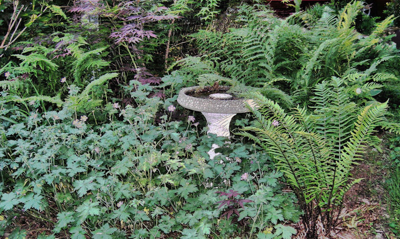 [Image: 38_birdbath4SM.jpg]