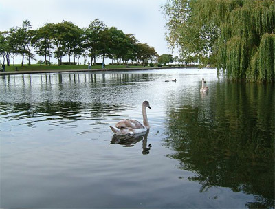 [Image: 69_lakew.jpg]