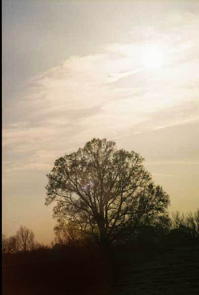 [Image: 76_10_test.jpg]