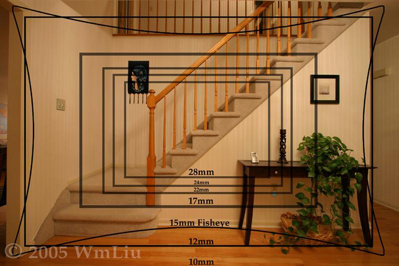 [Image: 76_w050124fovcomparison2wv%20(Medium).jpg]