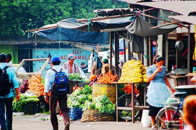 [Image: 84_The-Market.jpg]