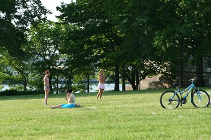 [Image: Auf%20der%20Wiese.JPG]