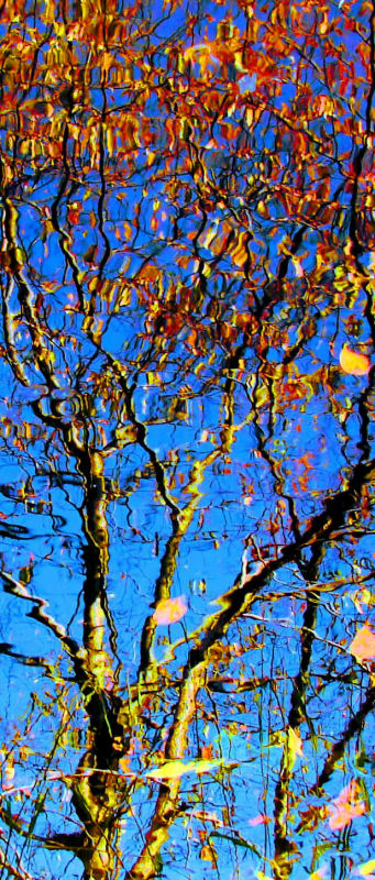 [Image: Autumn%20Reflection.JPG]