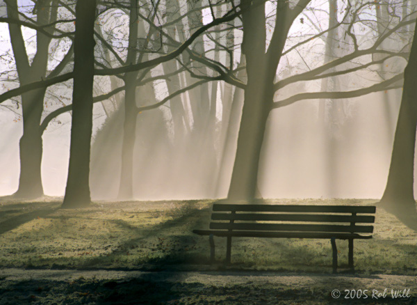 [Image: Bench%20in%20the%20Fog.jpg]