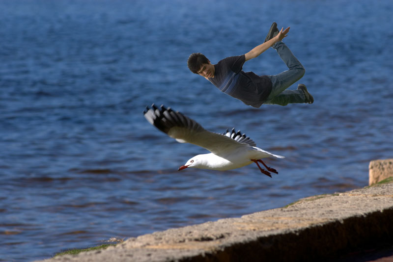 [Image: CRW_7080copy.jpg]
