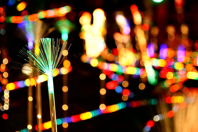 [Image: Christmas-Lights.jpg]