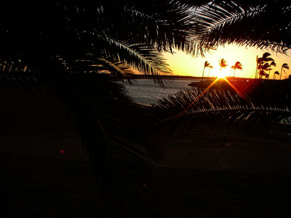 [Image: DSC00467_2.jpg]