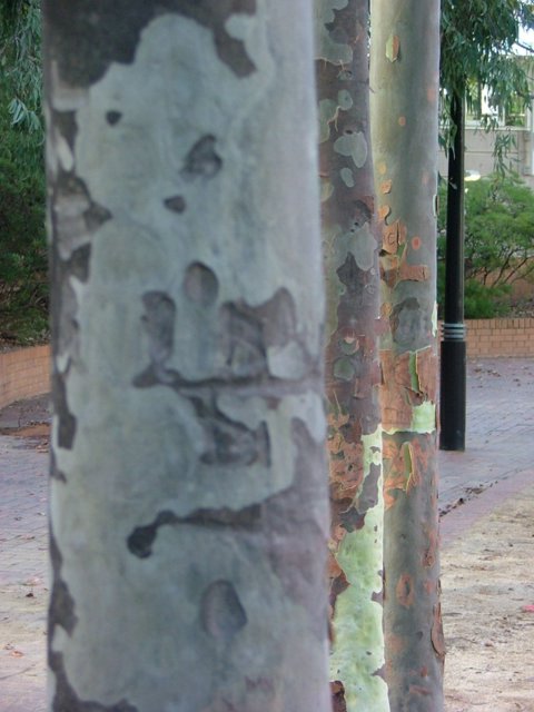 [Image: DSCF3129.jpg]