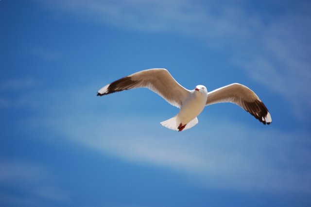 [Image: DSC_2532.JPG]