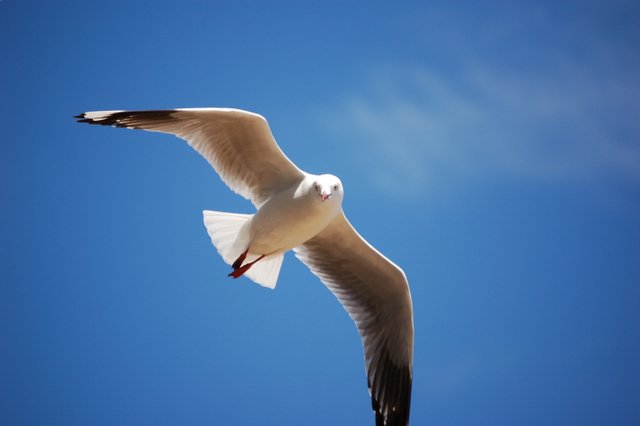 [Image: DSC_2533.JPG]