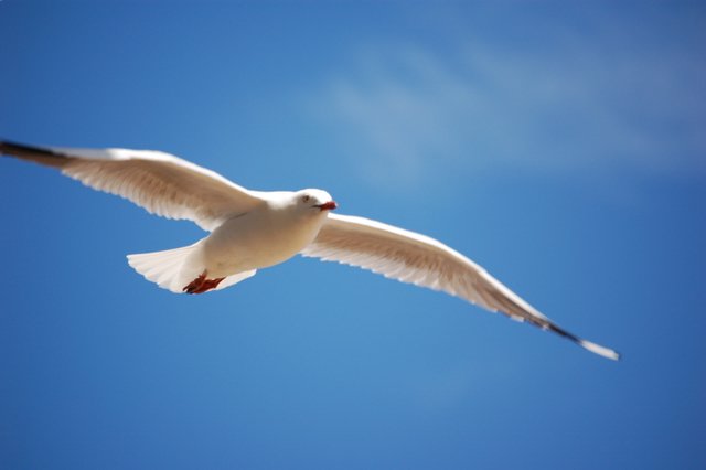 [Image: DSC_2534.JPG]