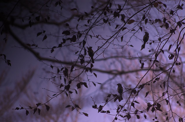 [Image: DSC_2626-01daynight.jpg]