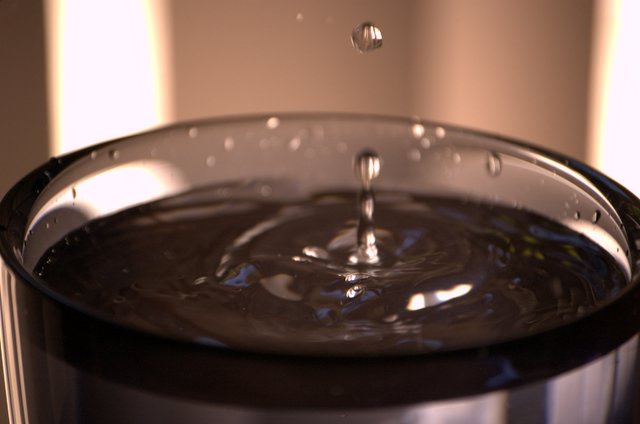 [Image: DSC_4140.jpg]