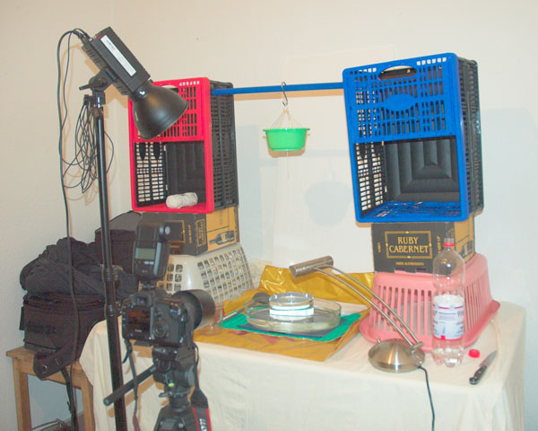 [Image: DSC_7568-01setup.jpg]