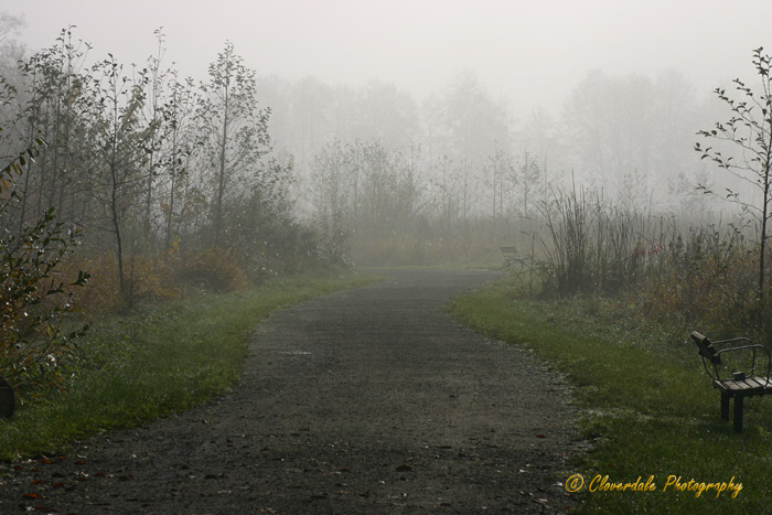 [Image: Foggy-day-031.jpg]