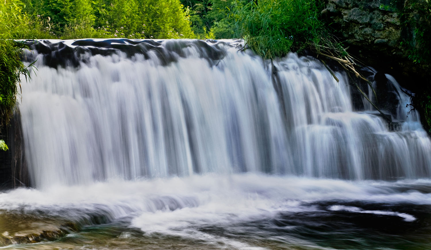 [Image: Forks-of-Credit-R-w-Angela-Aug-2008-_DSC...ust-08.jpg]