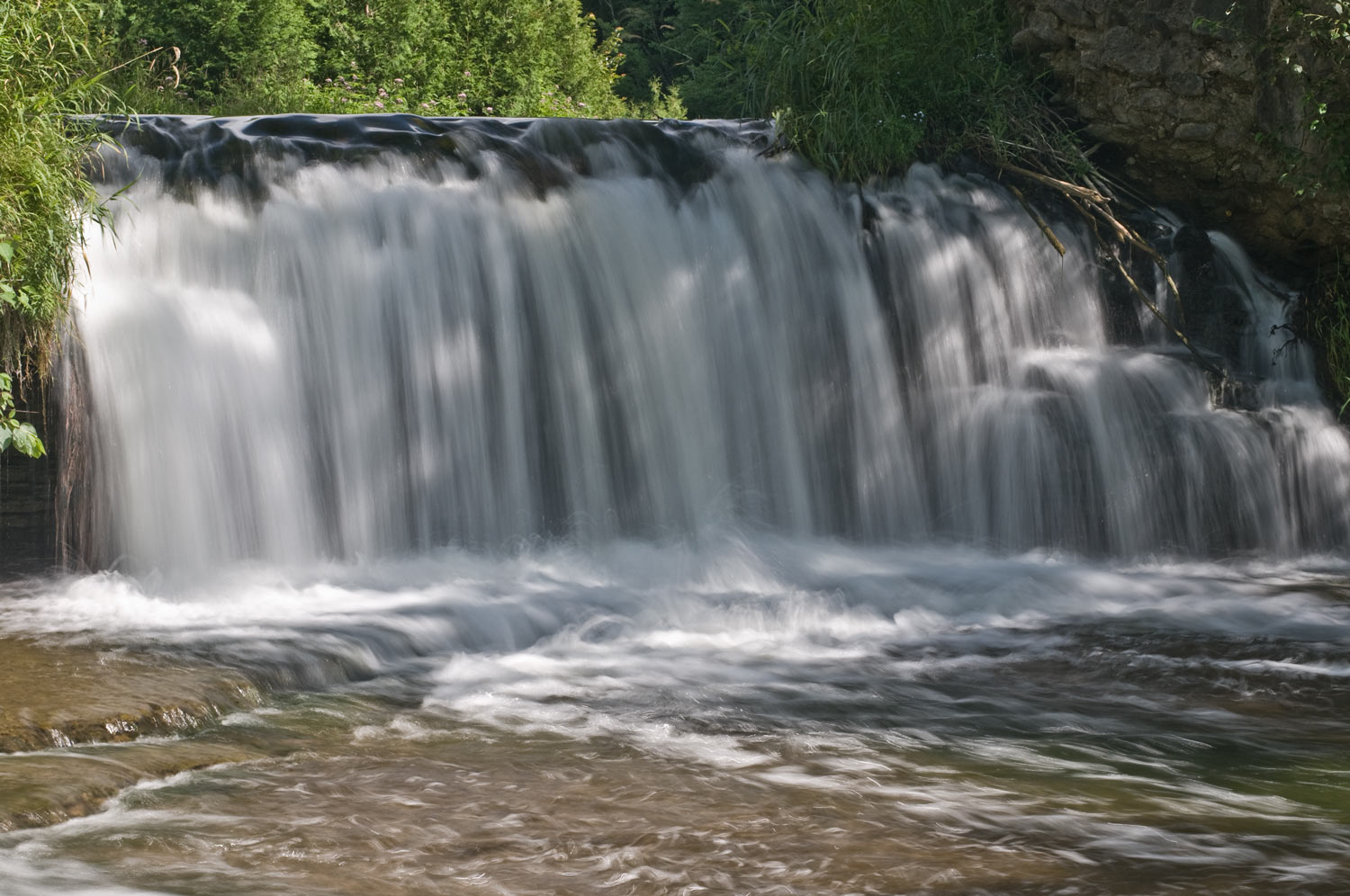 [Image: Forks-of-Credit-R-w-Angela-Aug-2008-_DSC...-08-b_.jpg]