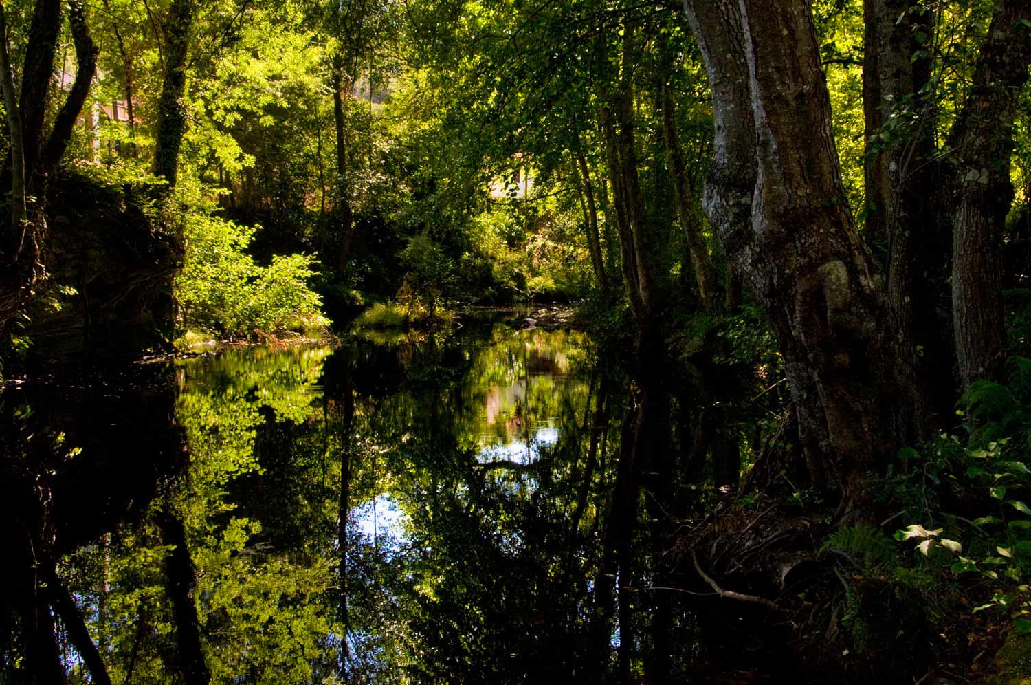 [Image: Franca,-Portugal-_DSC0445-September-07,-2008-c.jpg]