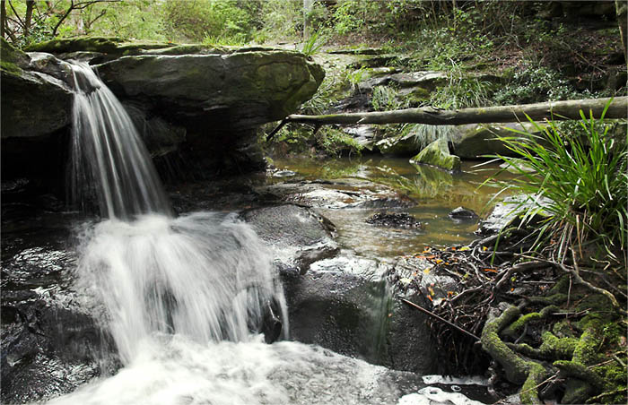 [Image: Glenrock2%20sml.jpg]