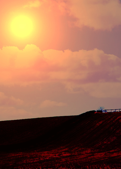[Image: Greenhouse-sunsety.jpg]