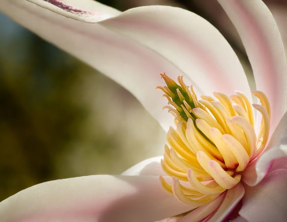 [Image: Happy-Soaking-up-the-Sun,-Edwards-Garden...-768-s.jpg]