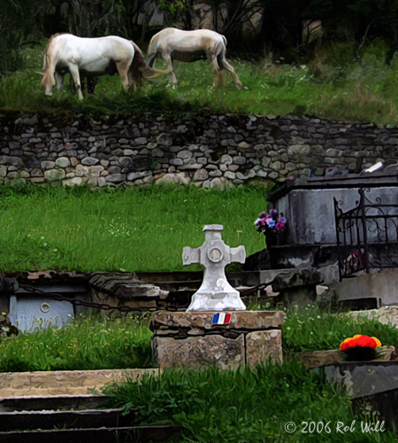 [Image: Horses%20in%20the%20Graveyard.jpg]
