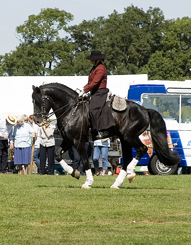 [Image: IMGP5404.jpg]