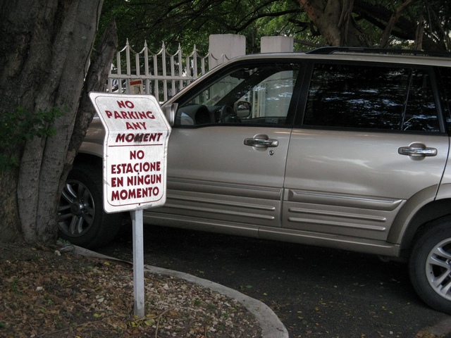 [Image: IMG_0174%20Resize3.jpg]
