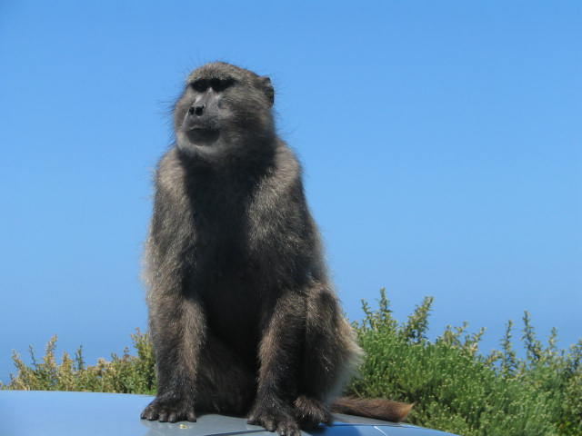 [Image: IMG_0205.JPG]