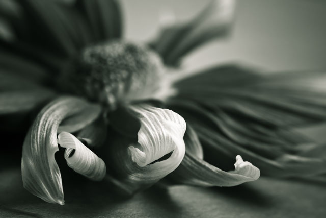 [Image: IMG_0791-Edit.jpg]