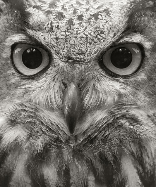 [Image: IMG_1110-Edit.jpg]