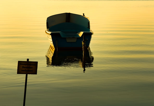 [Image: IMG_1232-Edit-2.jpg]