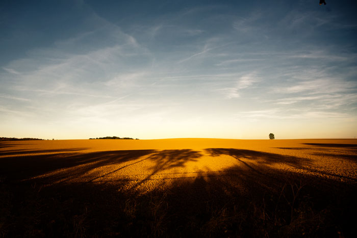 [Image: IMG_2456-Edit.jpg]