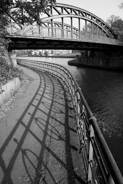 [Image: IMG_3154-Edit-2.jpg]