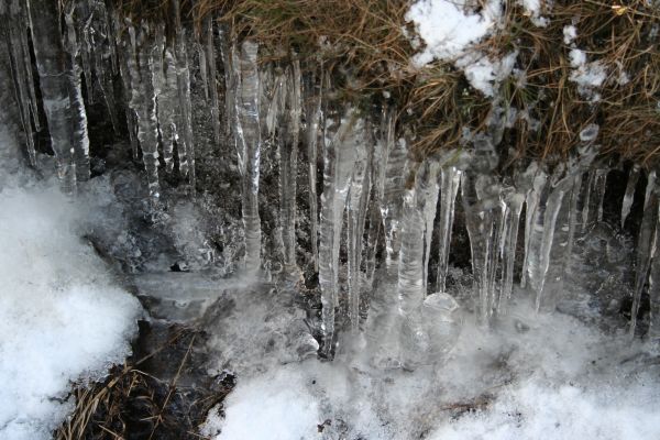 [Image: IMG_3321.jpg]