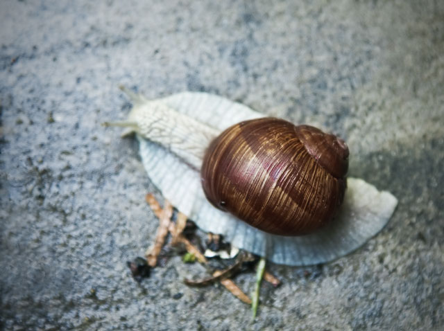 [Image: IMG_9274-Edit.jpg]