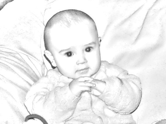 [Image: Image1.gif]