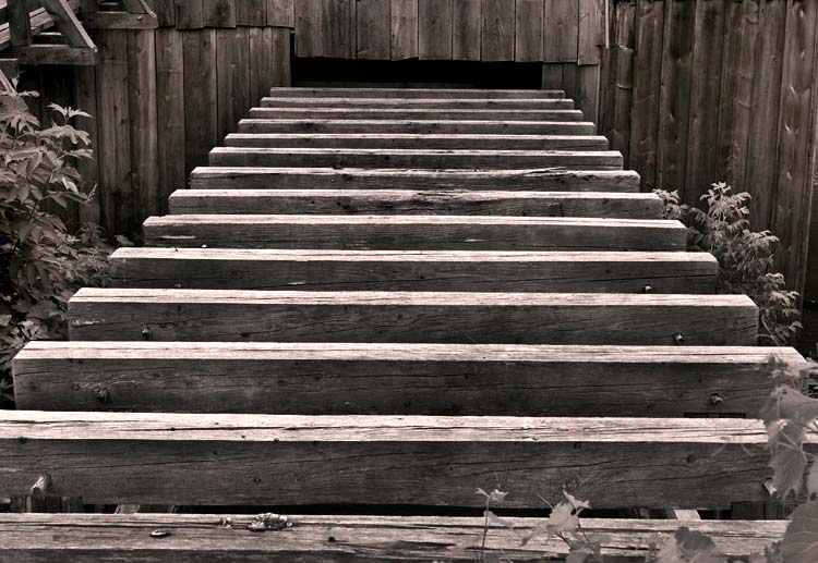 [Image: Lumber-yard2%20copy.jpg]