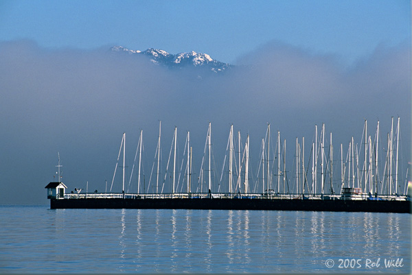 [Image: Marina%20in%20the%20Fog.jpg]