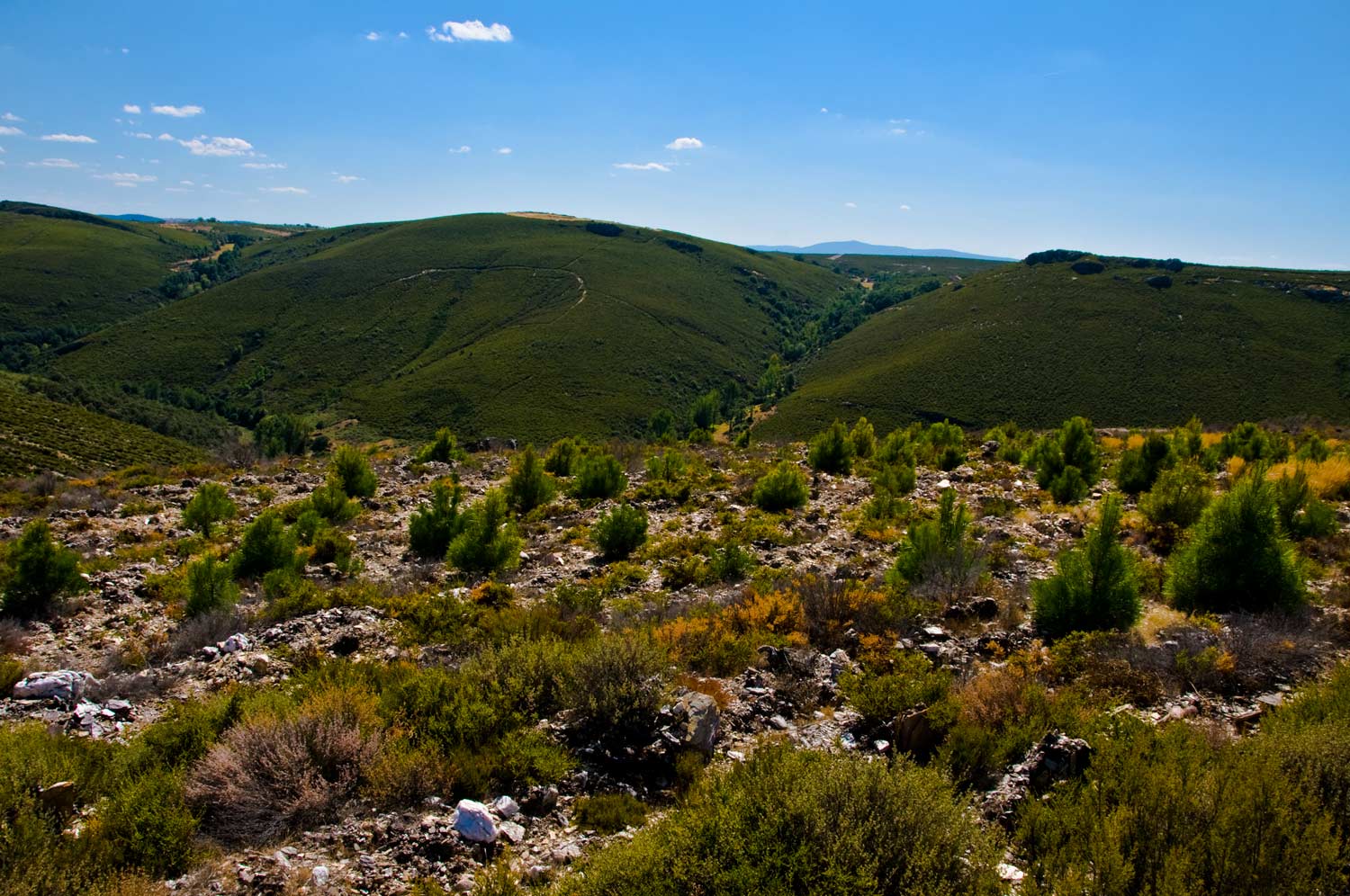 [Image: Montezinho,-Portugal-_DSC0763-September-08,-2008.jpg]