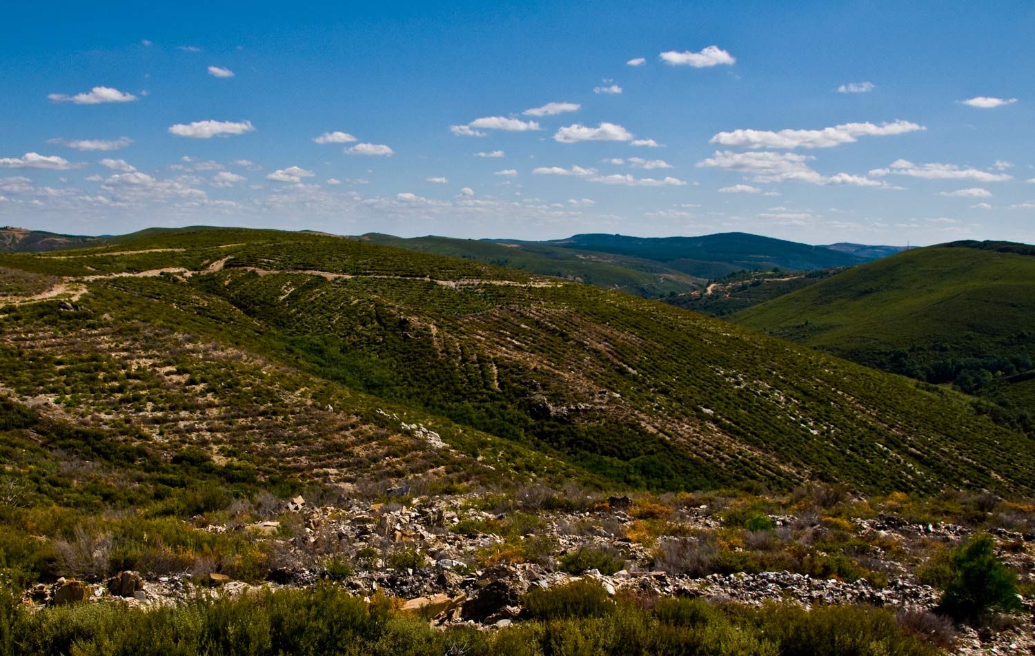 [Image: Montezinho,-Portugal-_DSC0765-September-08,-2008.jpg]