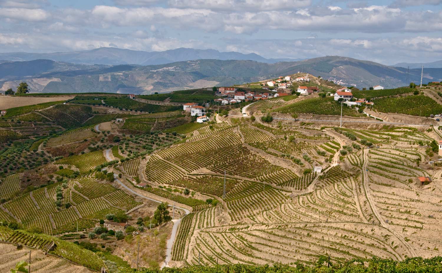 [Image: Near-Pinhao-Portugal-_DSC1551-12-09-08.jpg]