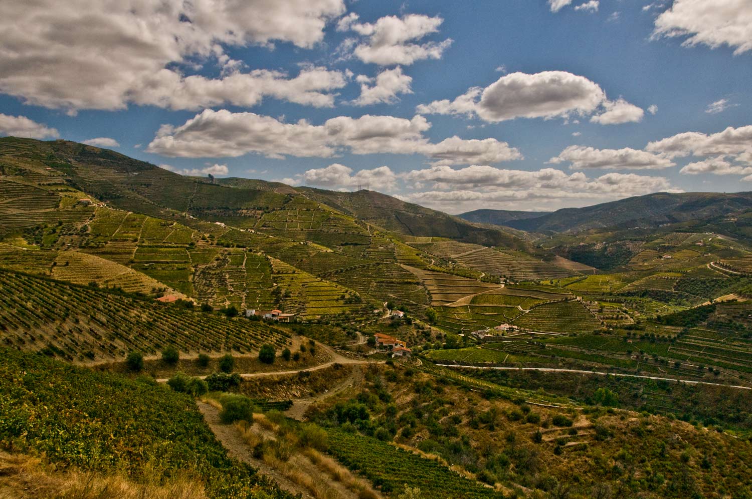 [Image: Near-Pinhao-Portugal-_DSC1580-12-09-08.jpg]